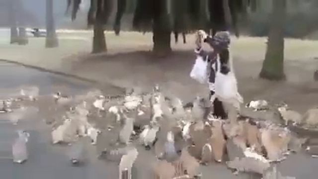 нашествие кроликов смотреть онлайн