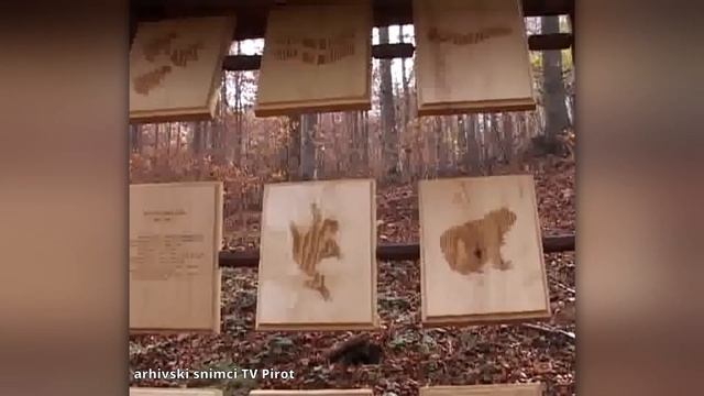 Građanski aktivizam u službi prirode - U svetu ptica i šumskih duhova смотреть онлайн