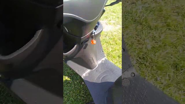 Kral Pion Alınır mı? (özellikleri-tanıtım) смотреть онлайн