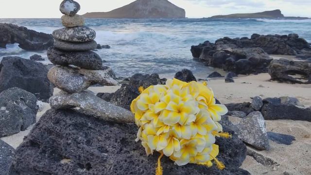 Yellow plumeria bouquet with Hibiscus @ wedding in Hawaii смотреть онлайн