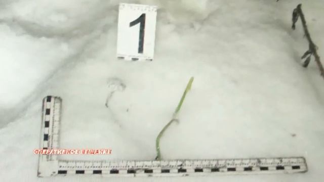 18-летний ярославец пытался передать в колонию семь телефонов и десять литров спирта смотреть онлайн