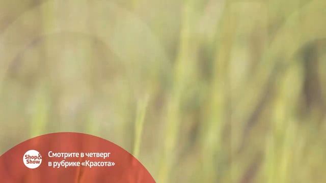 Анонс Красота 28.11.2019 на Shop&Show! смотреть онлайн