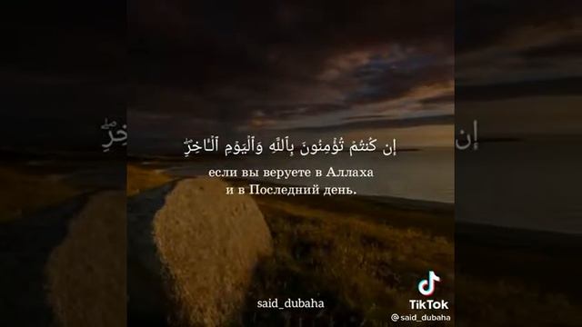 Саид Дубаха чтение корана смотреть онлайн