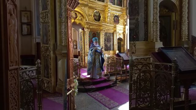 Проповедь Протоиерея Николая Соколова в праздник Владимирской Иконы Божией Матери смотреть онлайн