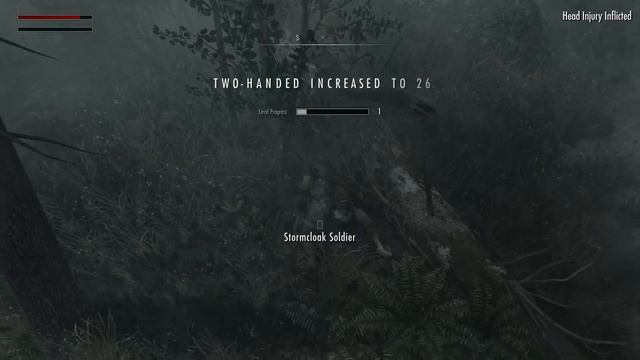 Transforming Skyrim Into Dark Souls