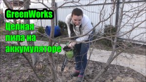 Аккумуляторная пила GreenWorks GD40CS18 и Юля