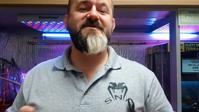 S'N'A Introducing Series : Episode 32 - Mexican Black King Snake (Lampropeltis getula nigritus) смотреть онлайн