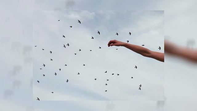 Дора - Розовые волосы speed up смотреть онлайн