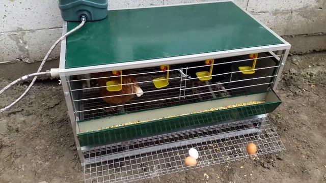 Клетка для кур несушек и бройлеров "Chicken-М". смотреть онлайн