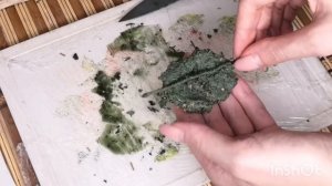 Ведьминская свеча. Свеча с травами. Свечи из воска с травами.