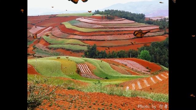 История про арбузы. Аудиоподкасты - Истории древнего Китая смотреть онлайн