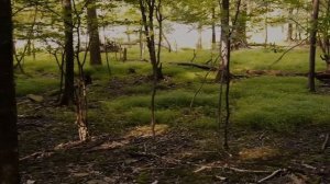 300 ножевых и камень в голову. Дело Кристы Гейл Пайк / Crimecast // Тру Крайм Истории