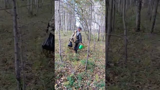 Почему люди теряются в лесу? смотреть онлайн