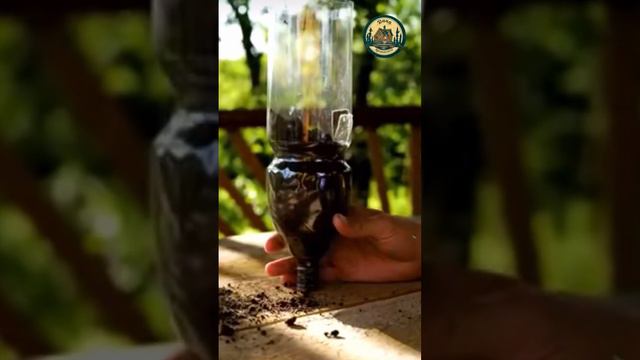 Дачные идеи лайфхак #грядки #огород #дача #сад #парник #теплица #рассада #деревня #май#урожай