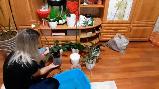 уход за цветами смотреть онлайн