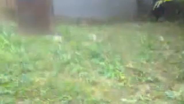 пневмо вентовка убойная 5 атмосфер смотреть онлайн