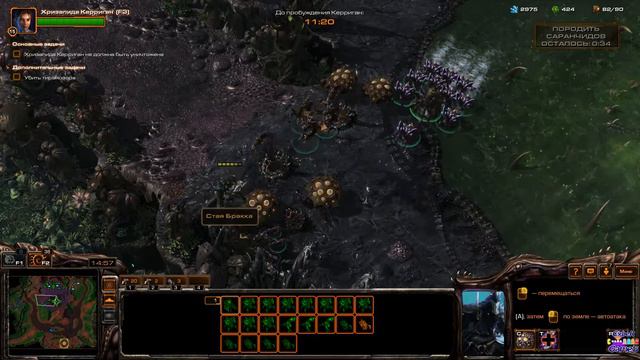 Starcraft: 2 Heart of Swarm (Перерождение) смотреть онлайн