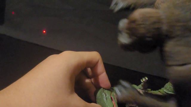 King Kong (1933) vs Gorosaurus смотреть онлайн