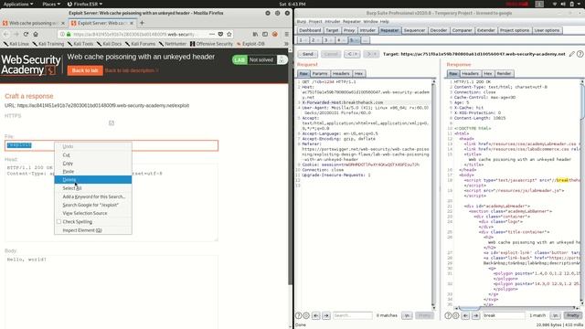 Web cache poisoning with an unkeyed header смотреть онлайн