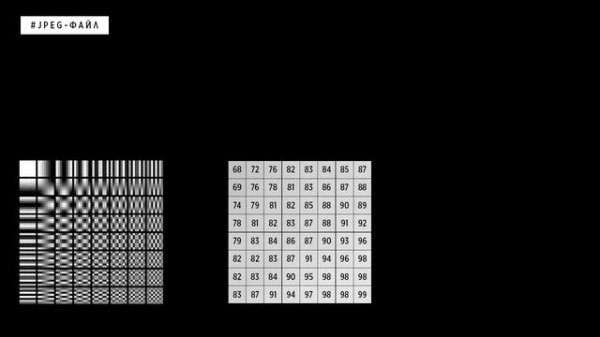 КАК УСТРОЕН JPEG?