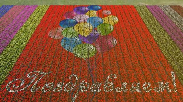 С Днем Рождения Галина! смотреть онлайн