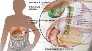 Кокосовое масло. Использование, норма потребления