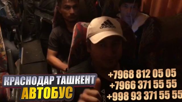 Краснодар Ташкент автобус. Растов Ташкент автобус. Россия Узбекистан автобус смотреть онлайн