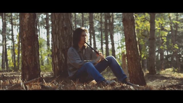 Dryante - Tranquility [Травница | The Herbalist OST](Sergey Eybog Cover)