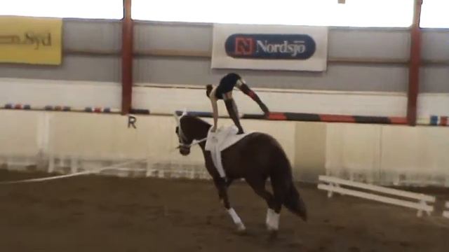 Eira Malmros Manfrinato kür 2013 смотреть онлайн