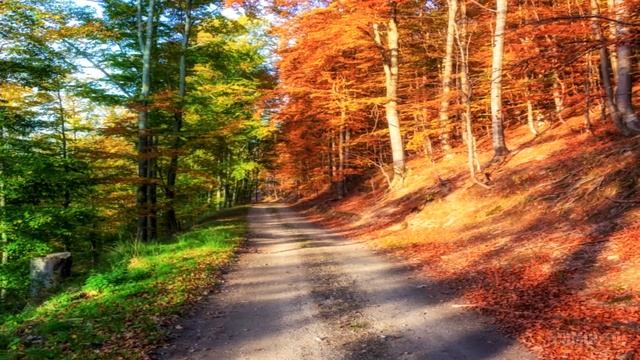 Самые удивительные фотографии-НЕ ФОТОШОП! смотреть онлайн