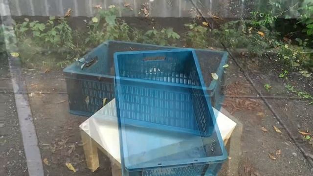 Пищевой пластиковый ящик 600х400х200-01 (перфорированные стенки) смотреть онлайн