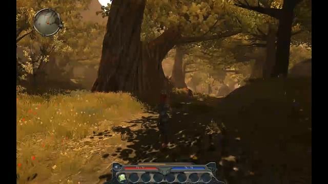 Divinity 2 Ego Draconis прохождение ч.1 - Начало.mp4