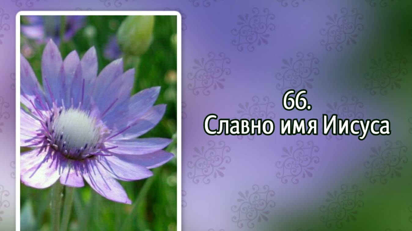 Гимны надежды 66 Славно имя Иисуса (-) смотреть онлайн