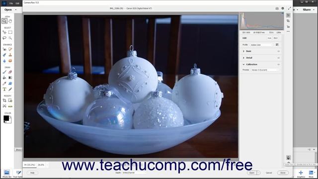 Learn about the Camera Raw Dialog Box in Adobe Photoshop Elements 2023: A Training Tutorial смотреть онлайн