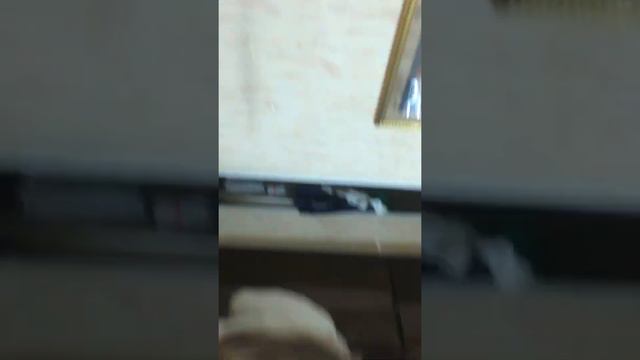 Бой подушками смотреть онлайн