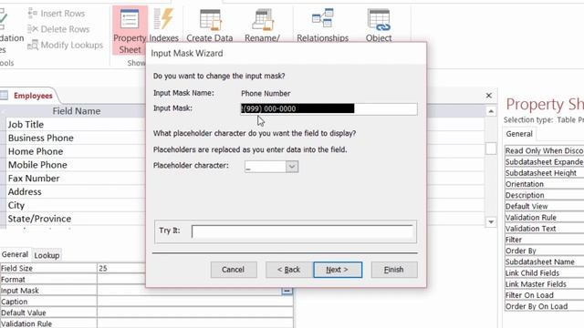How to Use the Input Mask Wizard in Access to Control Data Entry Formats смотреть онлайн