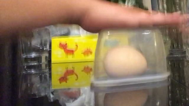 Don`t break the Egg Challenge. Игра Не разбей яйцо! ))) смотреть онлайн