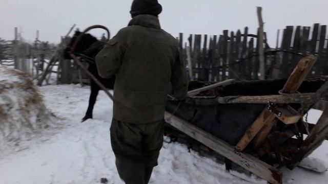 Привезли дрова на лошади. смотреть онлайн