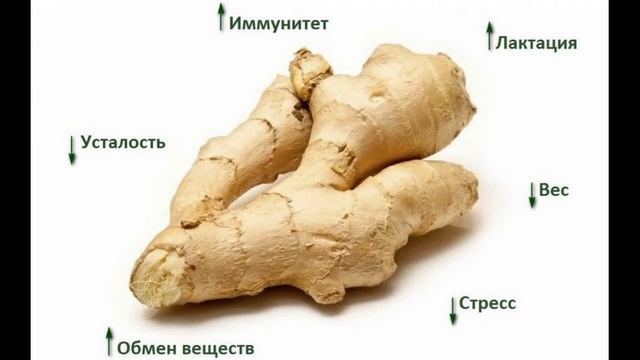 ✅ Имбирь польза и вред. ✅ Имбирь польза как употреблять. ✅ Имбирь полезные свойства рецепты смотреть онлайн