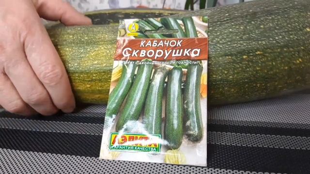 ??❤️Обзор высокоурожайного сорта кабачка на 2022 год смотреть онлайн
