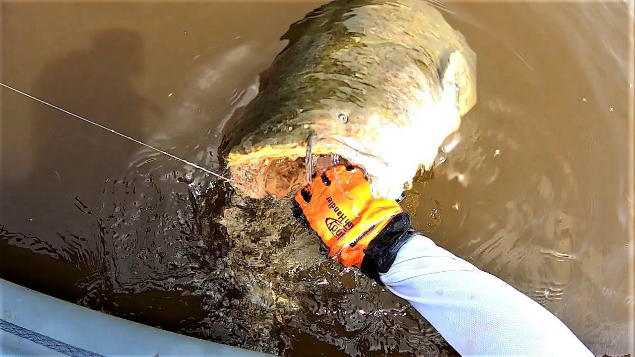 ВИЗГ ФРИКЦИОНА, СЛОМАННЫЕ КРЮЧКИ И РАЗОГНУТЫЕ КАРАБИНЫ. Трофейная рыбалка на спиннинг на Амуре смотреть онлайн