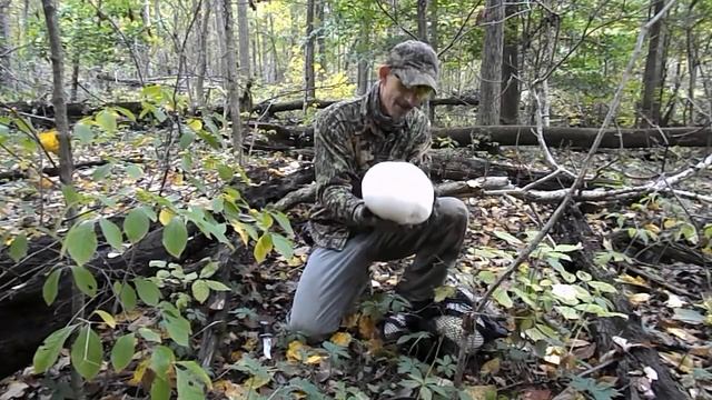 Giant Puffball Mushroom 2 смотреть онлайн
