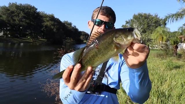 LIVE BAIT vs FAKE LURE Fishing Challenge (Worms) смотреть онлайн