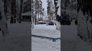 синий трактор