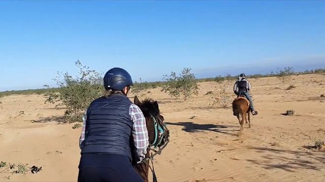 МОРОККО, Золотой песок Агадира смотреть онлайн