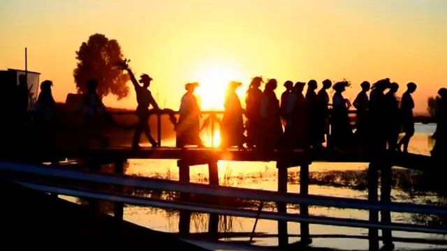 Цветок папоротника 2013