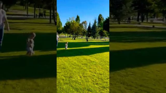 ~||красоты Краснодара||~#shorts #природа #город #красотаприроды #парк#краснодар 🌆🌆🌳🌳🌴🏕🏡 смотреть онлайн