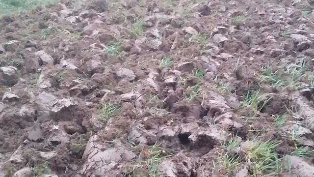 Мотоблок Нева - вспашка целины смотреть онлайн