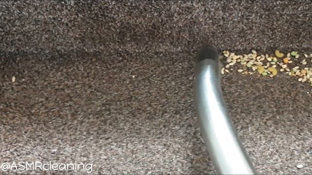 Vacuuming Random Stuff - Stairs Part 3 - ASMR Vacuum Cleaner Sound смотреть онлайн