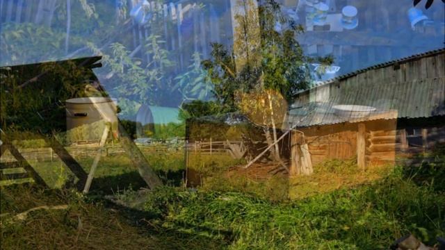 "КРАПИВА-ЛЕБЕДА"... (Фото Галины Угрюмовой (Краснотурьинск), музыка - "ФедораFolk") смотреть онлайн